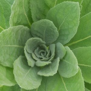 Meet your Posher, Katrina